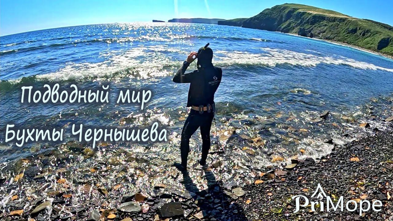 Подводный мир бухты Чернышева #островрусский #приморскийкрай #владивосток #фридайвинг #подводныймир