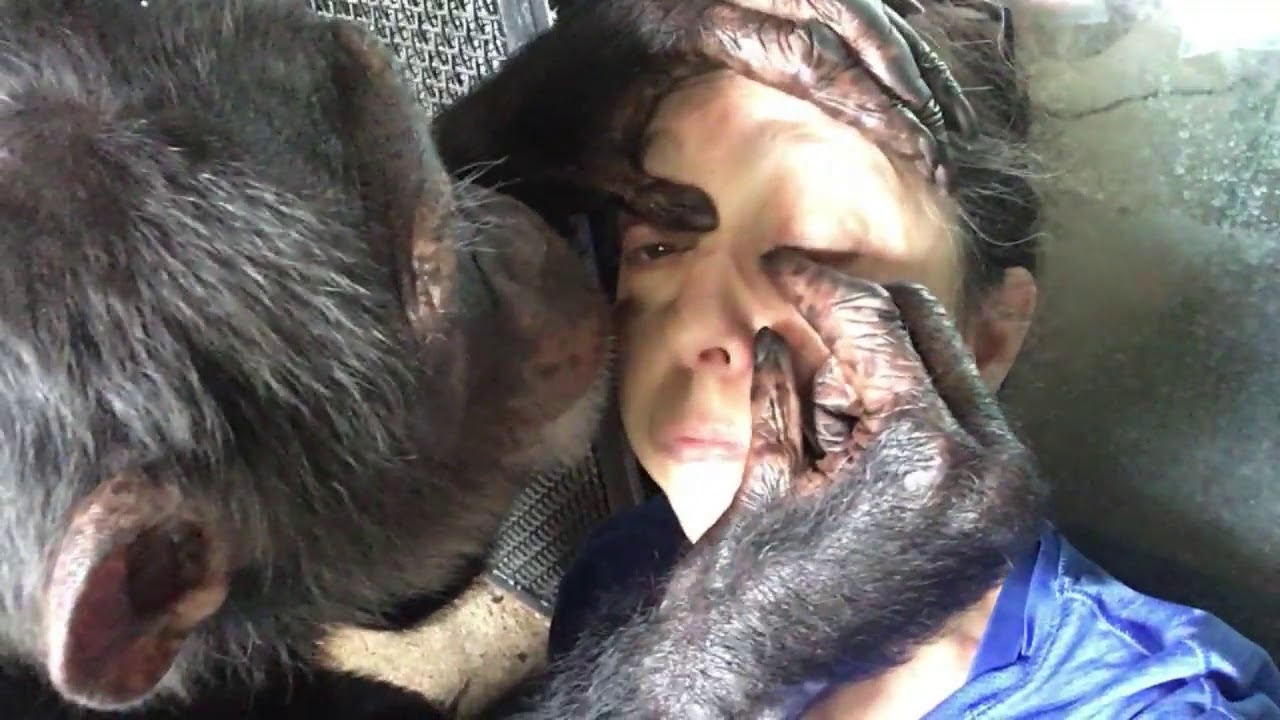 Concentrating on Grooming -- June 10, 2020