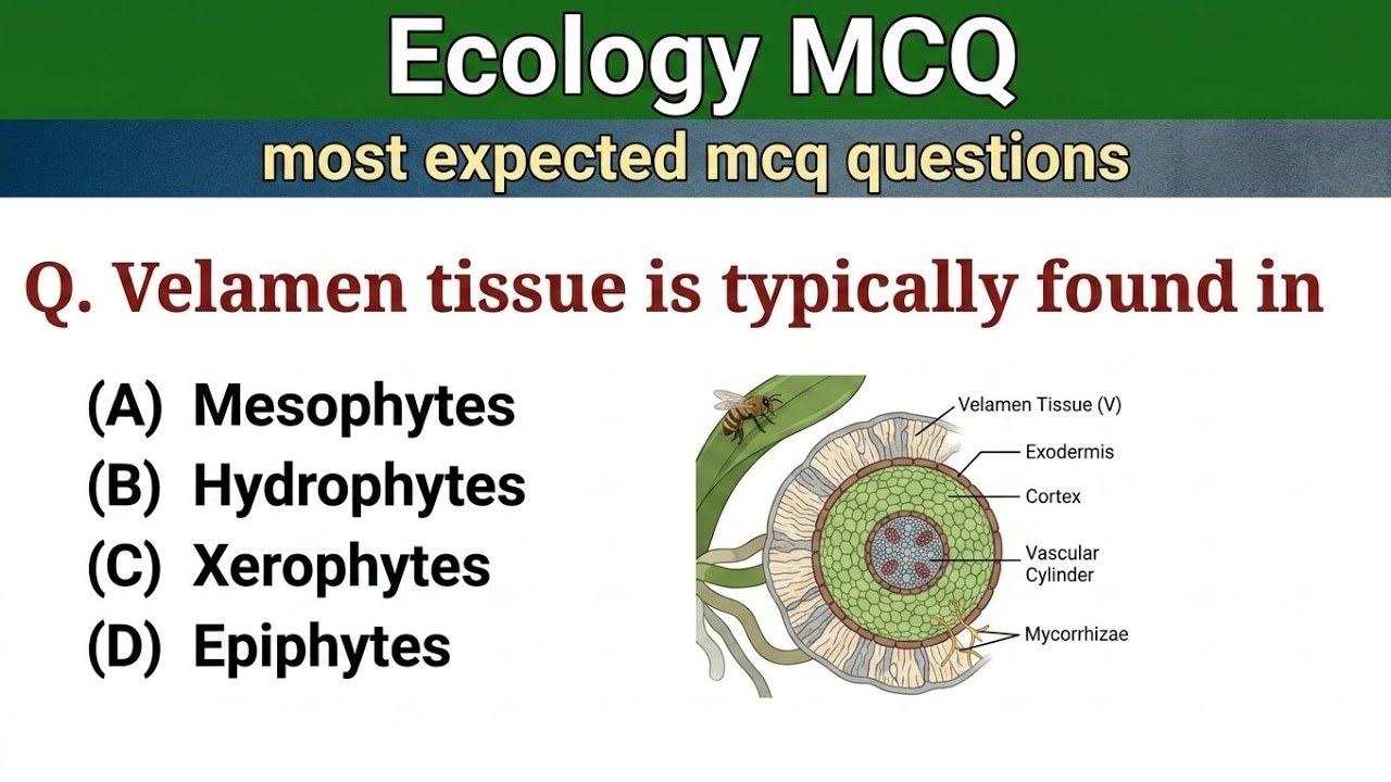 Ecology mcq || ecosystem mcq || most repeated questions (13)