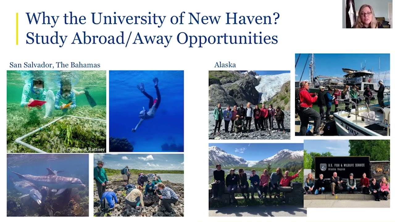 UNewHaven - Marine and Environmental Programs