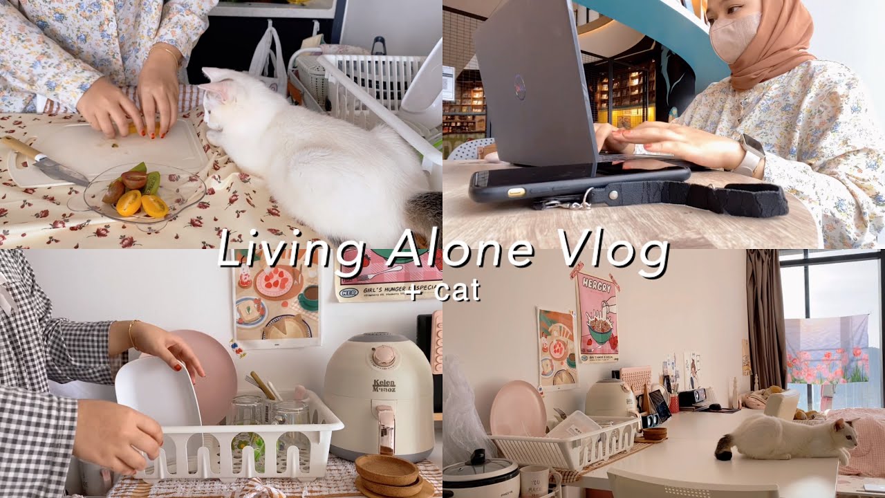 Living Alone Vlog | daily life Malaysia, buy iPad 9th generation, adopting a cat 🐱