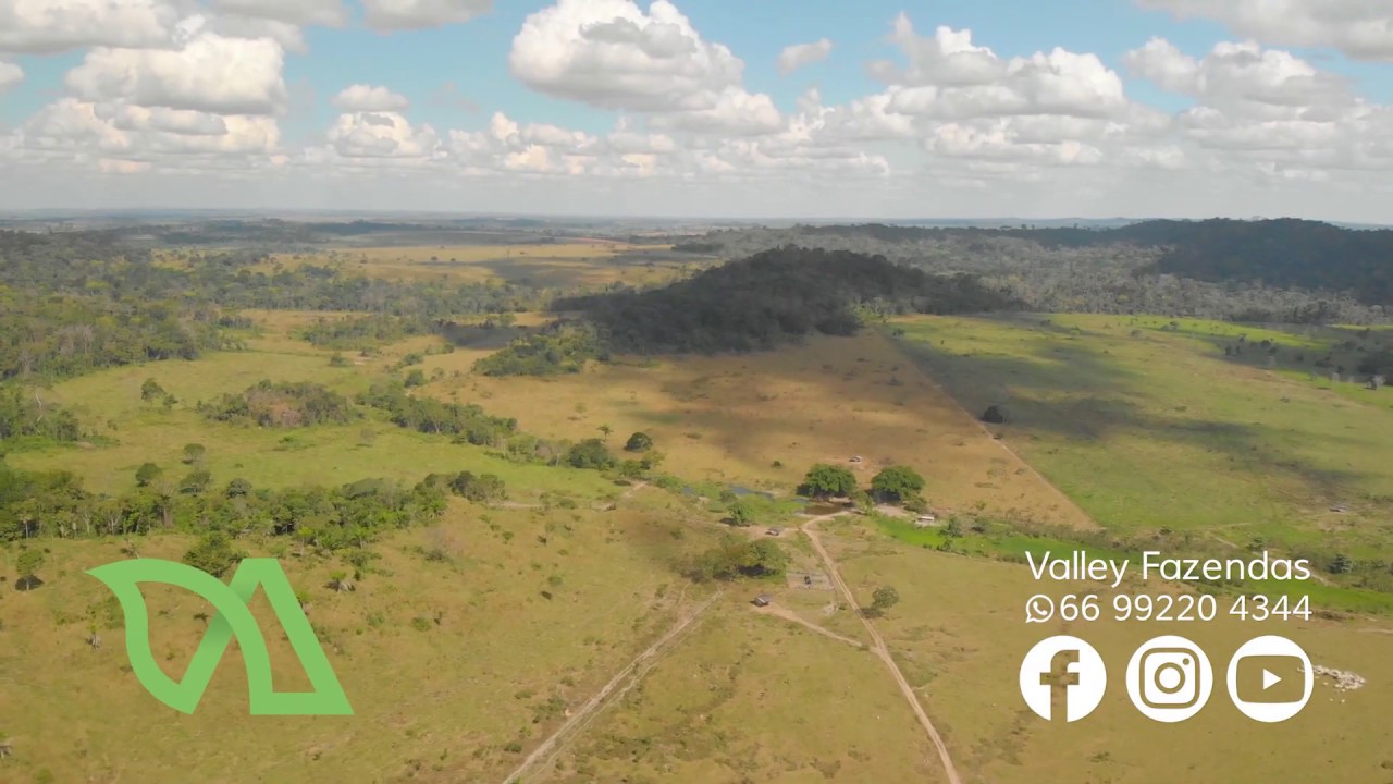 Novo WHATSAPP (66)992491098, FAZENDA À VENDA 242 Hectares, R$ 3.400.000 - Novo Mundo/Mato Grosso