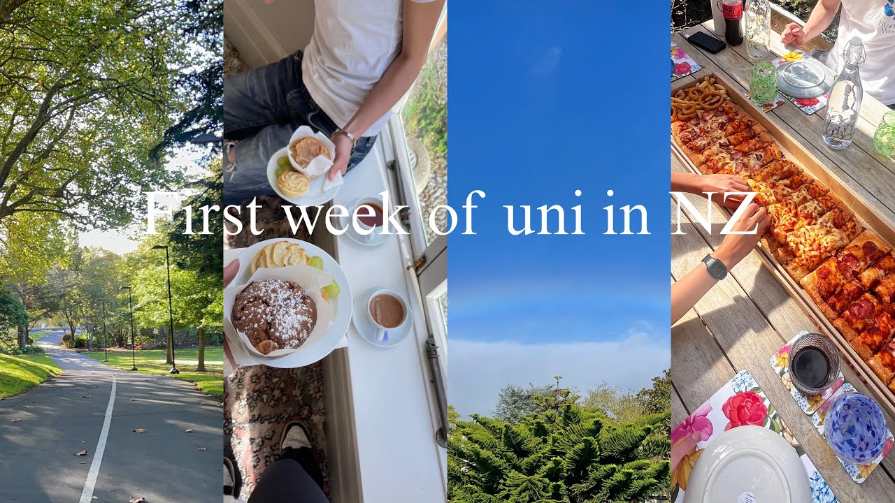 move to NZ! first week of uni 🇳🇿ニュージーランド留学初日🐏| travel, study abroad, new life