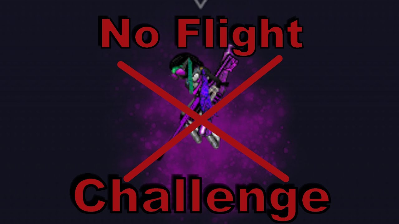 No flight challenge in ninja.io