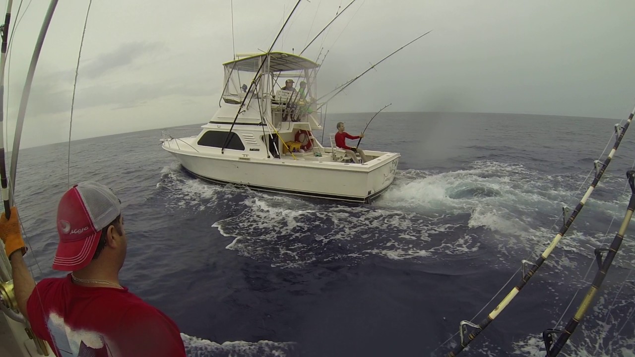 1998 Blackfin 33 flybridge