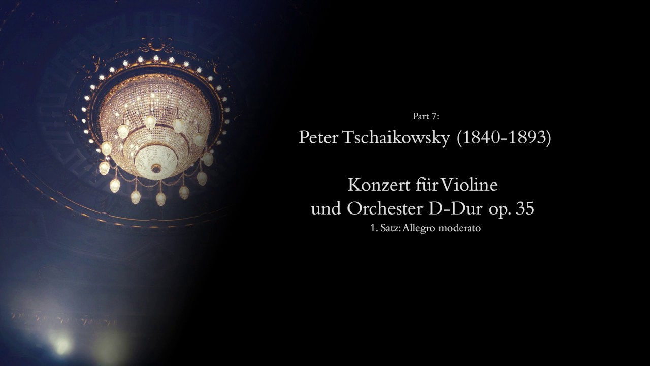 Tschaikowsky - Violinkonzert in D-Dur op. 35 (1. Satz) | Lara Boschkor & EUCHESTRA EGRENSIS