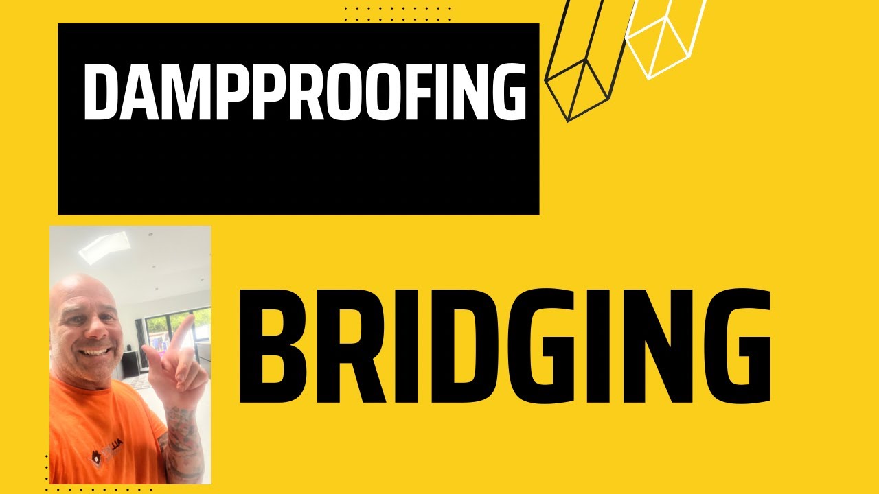 Bridging is 90% of Our Damp Work, You Won’t Believe This