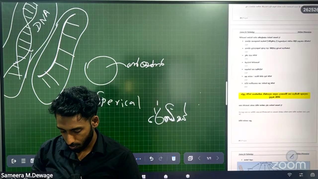 2027 Theory Bio PART