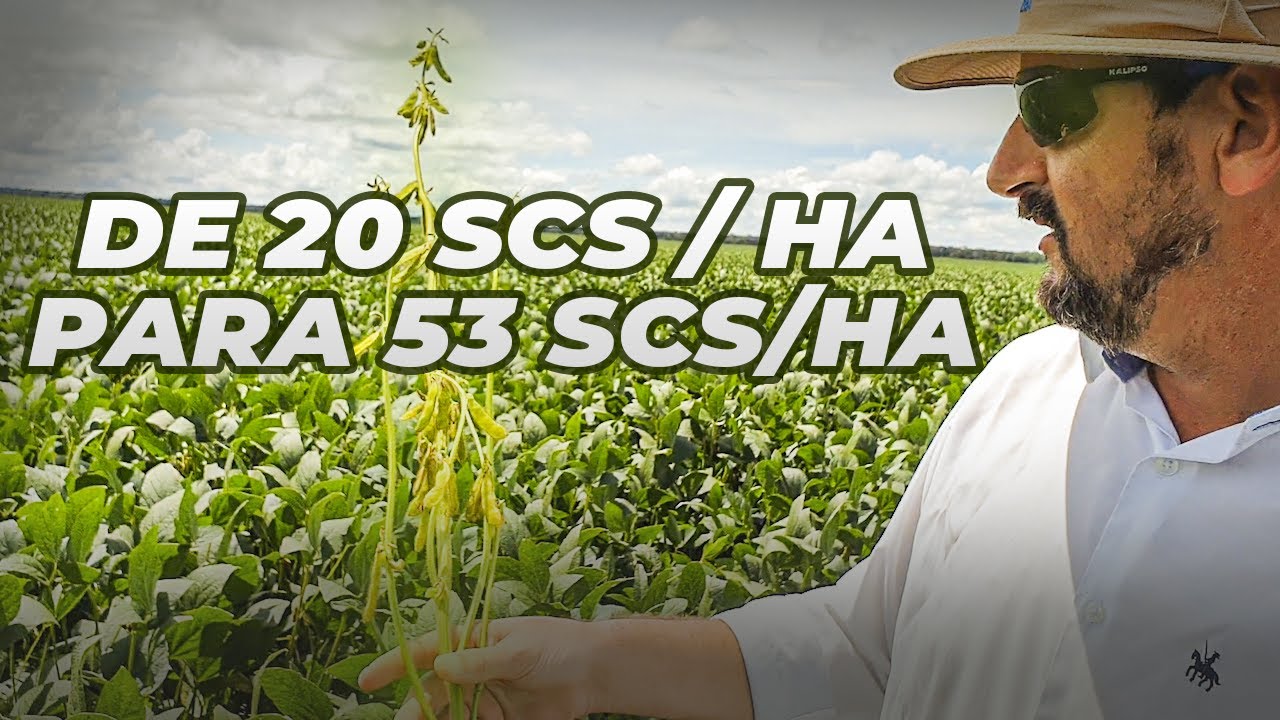 ELE AUMENTOU A PRODUÇÃO DE SOJA - SOLOS ARENOSOS