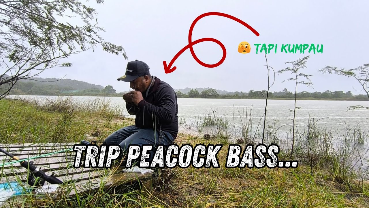 MISI MENCARI PEACOCK BASS DALAM HUJAN | Test Set Baru