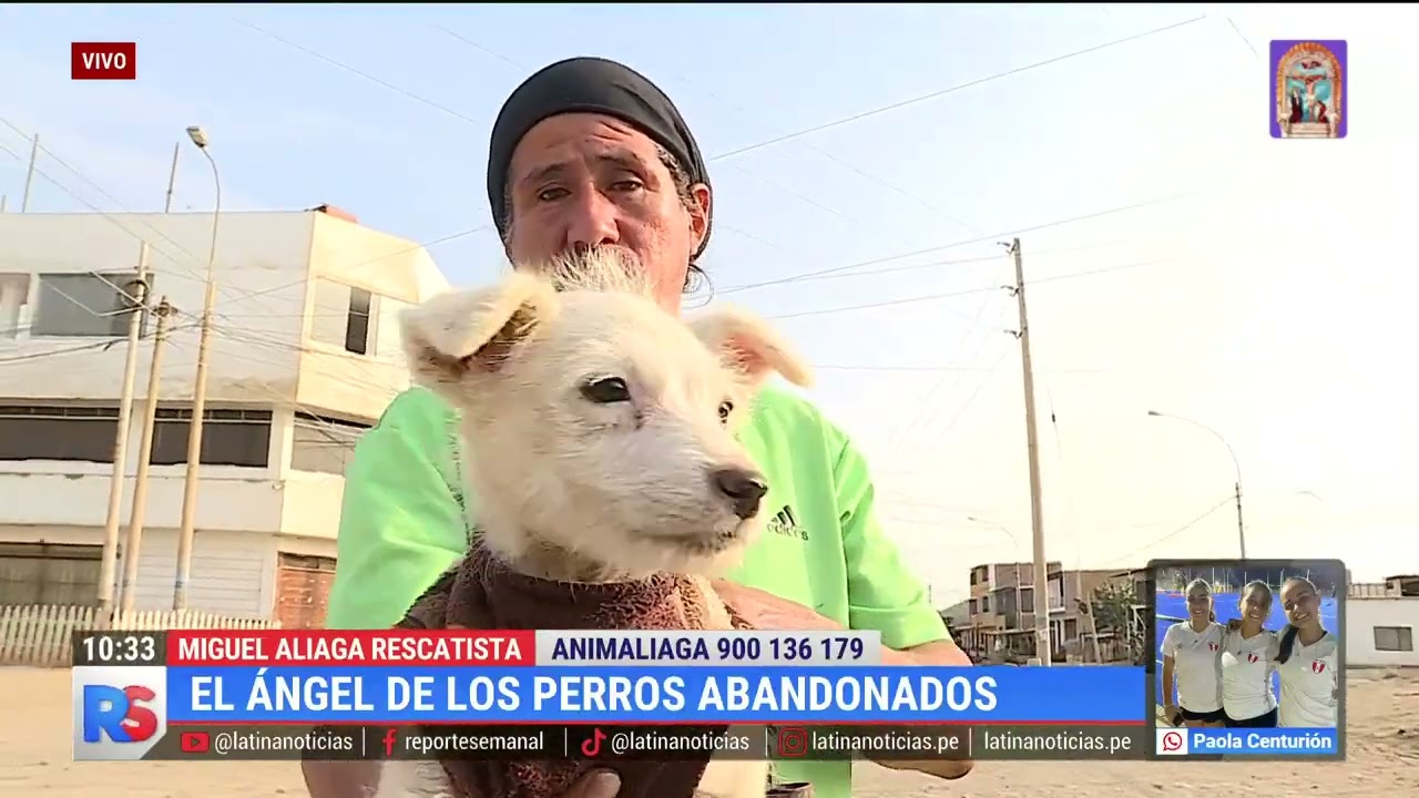 Miguel Aliaga, el ángel de los perros abandonados