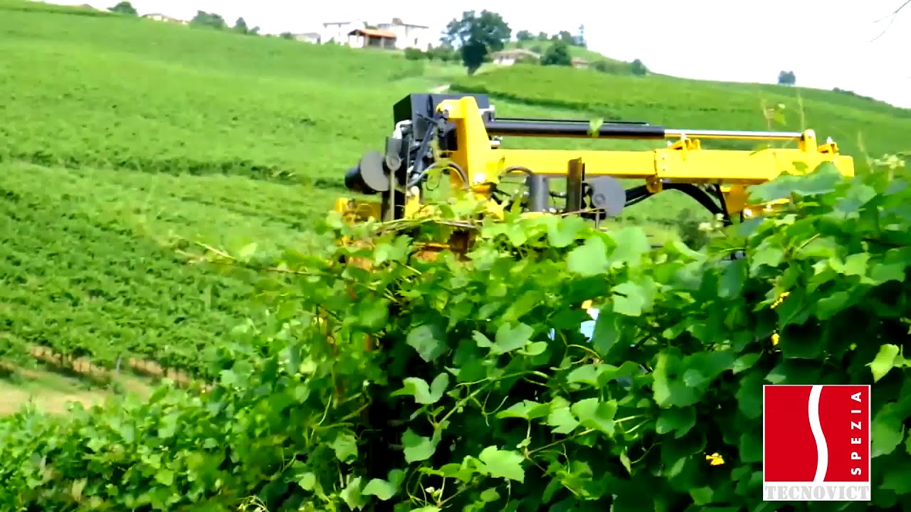 CIMATRICI BARRA FALCIANTE