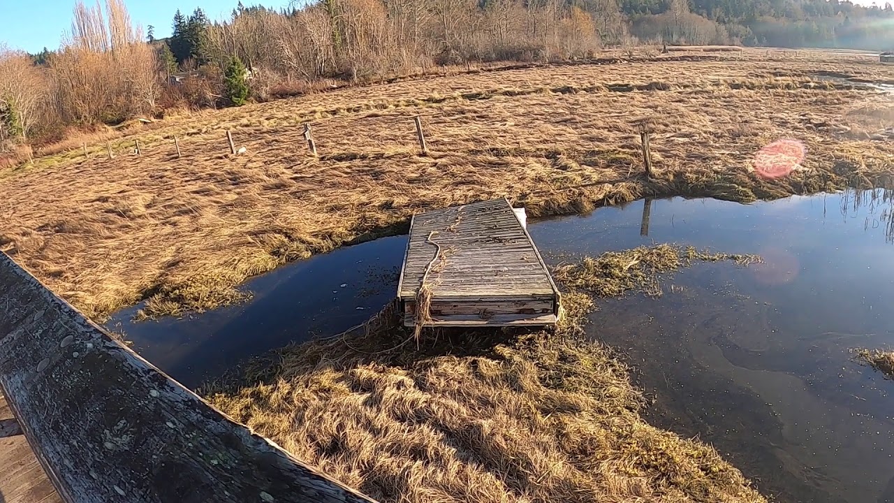 Theler Wetland Trails near Belfair, Washington