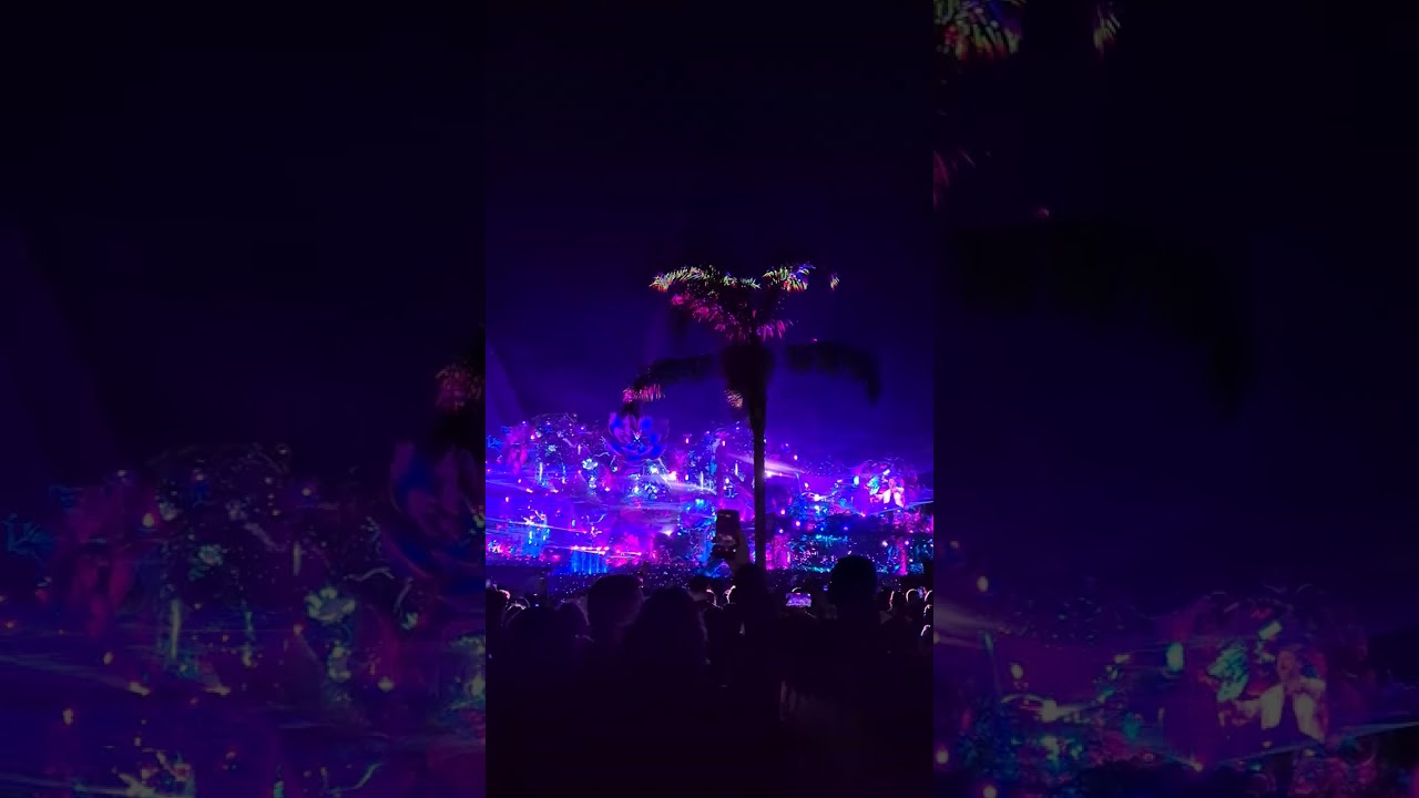 David Guetta - Without You - Tomorrowland Brasil 2025