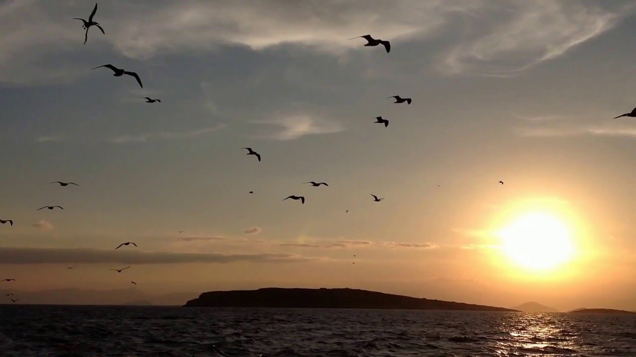 ☼　Interaction with Nature