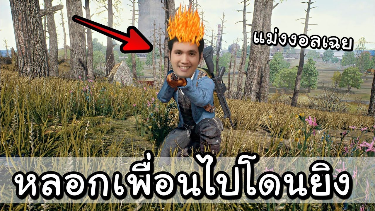 ไอ้ซี๊ดโมโห เพื่อนรอดแต่มันตาย