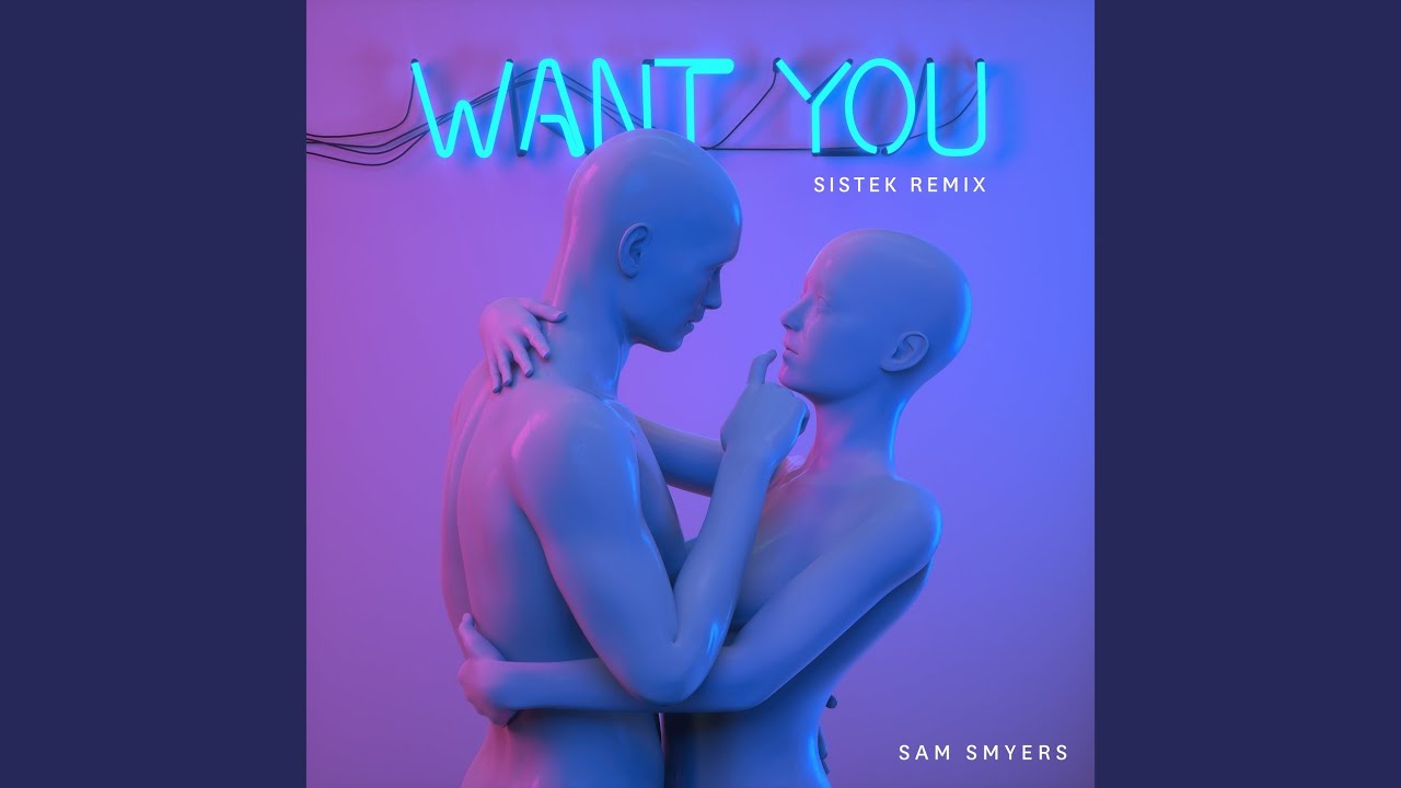 Want You (Sistek Remix)