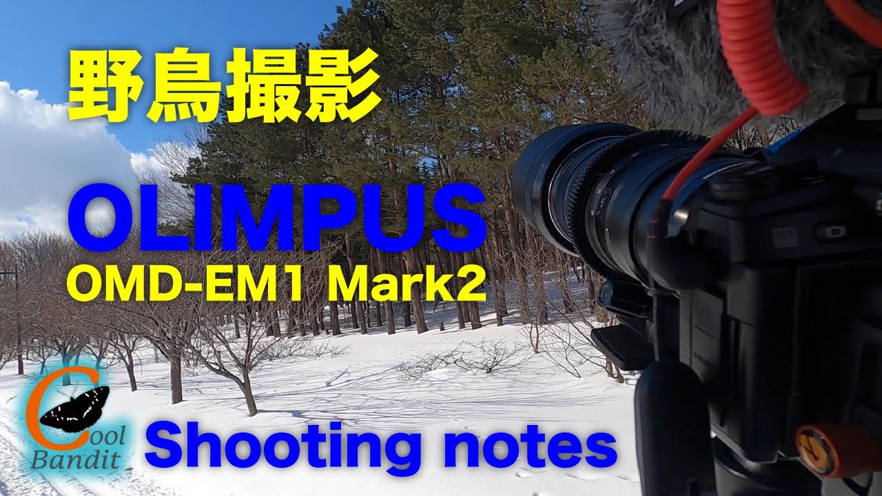 【野鳥撮影/Shooting notes】北海道札幌市の前田森林公園で野鳥観察をして来ました。