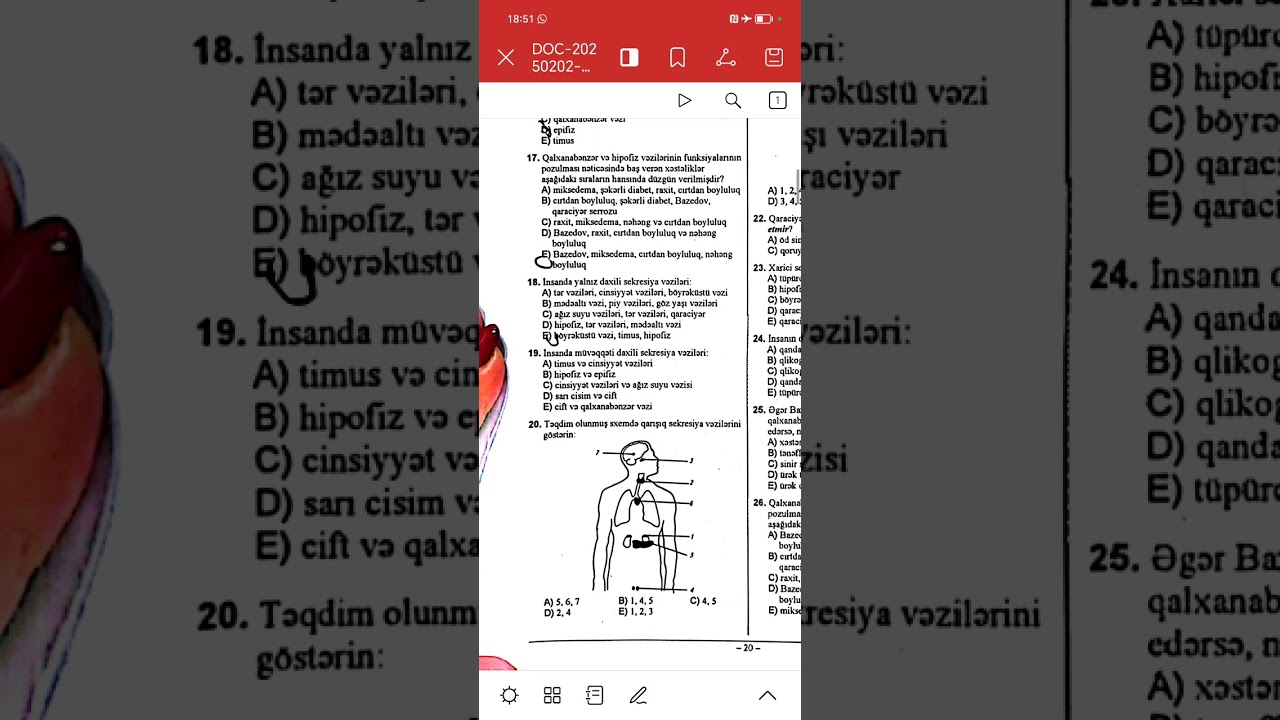 Vəzilər və onlarən funksiya pozğunluqları - biologiya dim test toplusu 2023