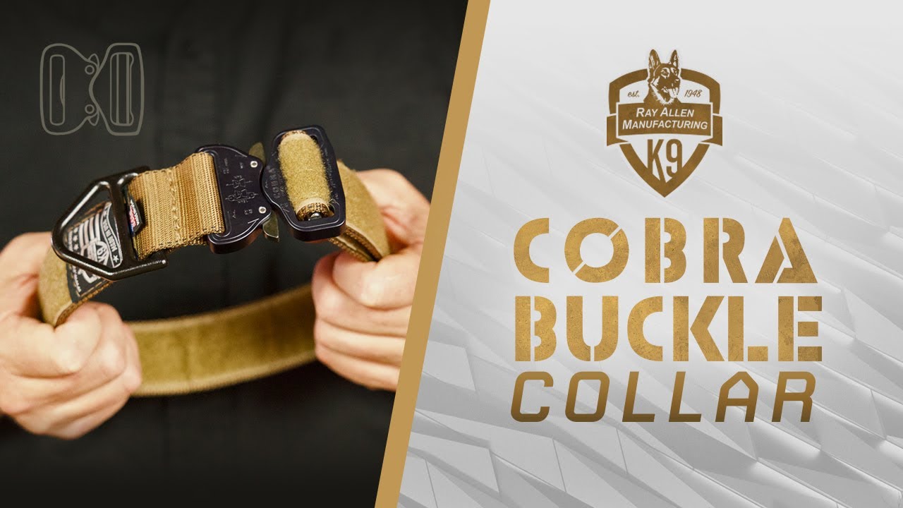 Cobra Buckle Dog Collar - 4000lb Weight Tested