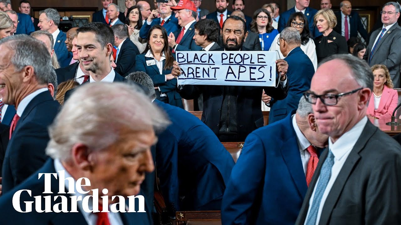 Al Green addresses his 'Black people aren't apes' protest against Trump