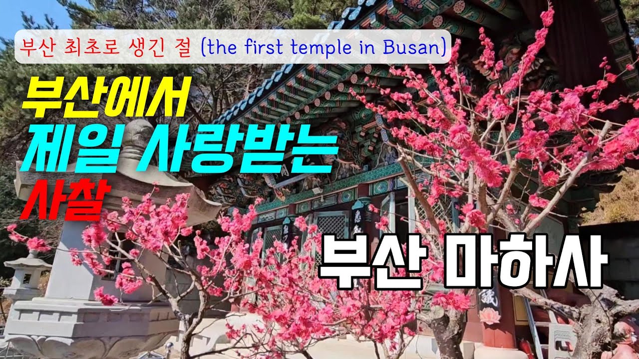 부산 시민이 가장 사랑하는 최초의 절 연산동 마하사 금련산 황련산 등산코스 반야심경 금강경 관세음보살 사찰여행 드라이브 차애전할매칼국수 first temple in busan