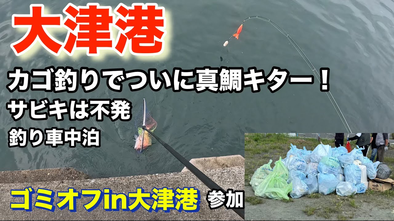 【大津港】カゴ釣りでついに真鯛キター！ゴミオフin大津港参加！