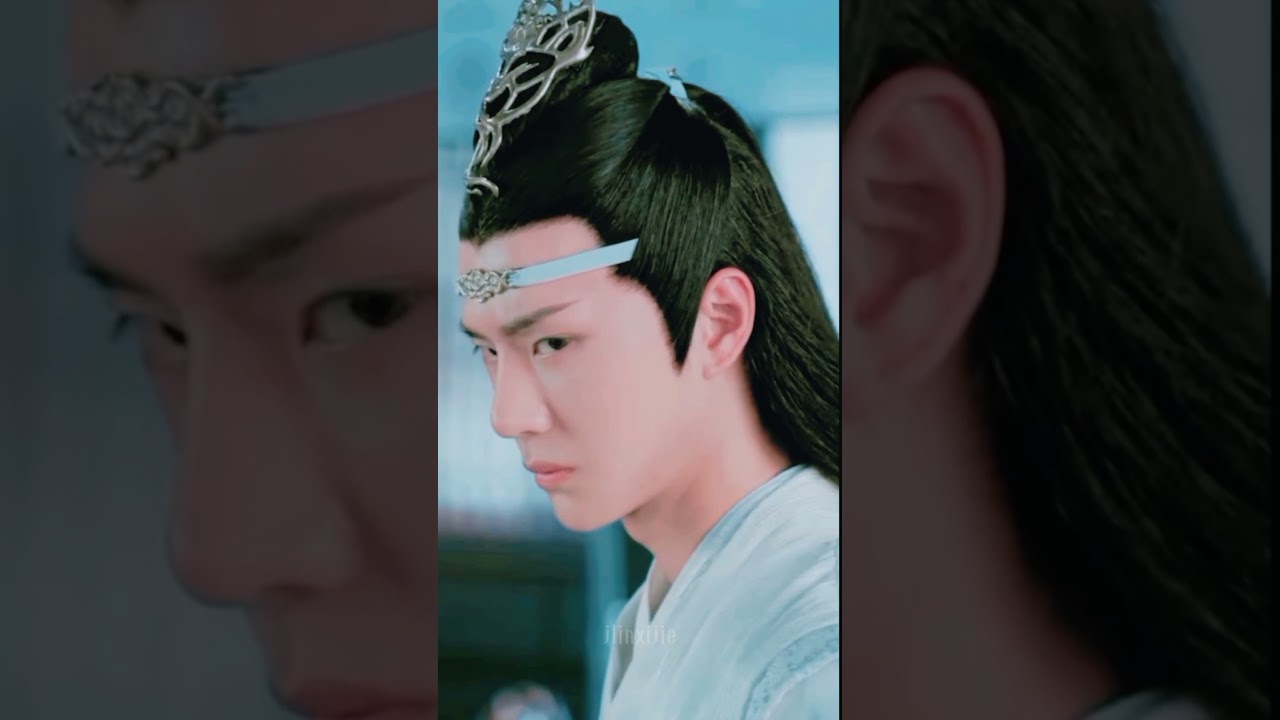 when WangXian not talking to each other😶❄️💚❤️💕✨ #theuntamed #yizhan #xiaozhan #wangyibo