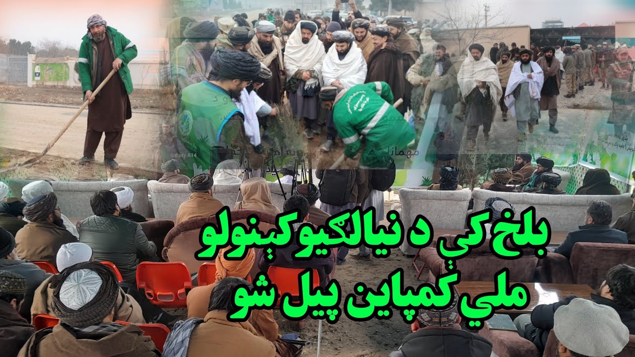 بلخ کې د نیالګیو کېنولو ملي کمپاین پیل شو