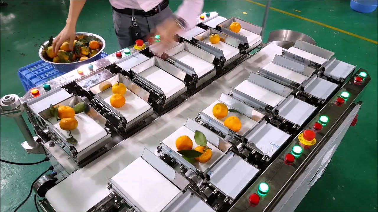 VegSort Linear Combination Weigher