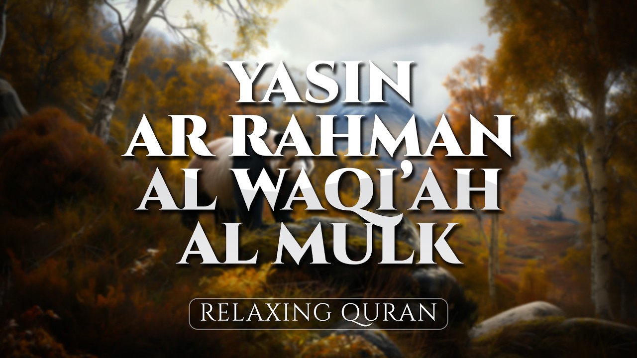 Surah Ar Rahman, Yasin, Al Waqiah, Al Mulk, Best Quran Recitation - ALAA AQEL