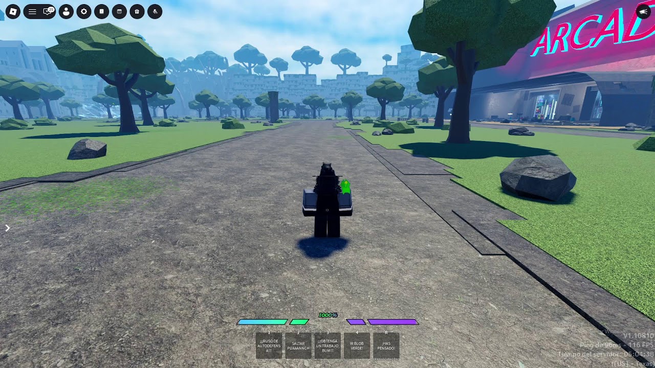 JUGANDO CON UN PAJEROP