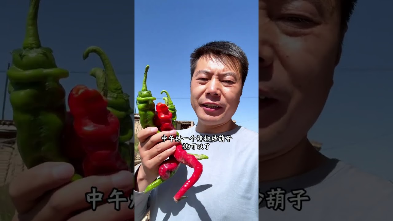 给大家看看农村人吃的面粉是怎么来的，虽然不是特别白，但擀面条蒸馒头韧性十足，吃起来有浓浓的麦香味#记录真实生活 #陇上阿斌 #农村美食 #面粉 #抖音记录农村生活