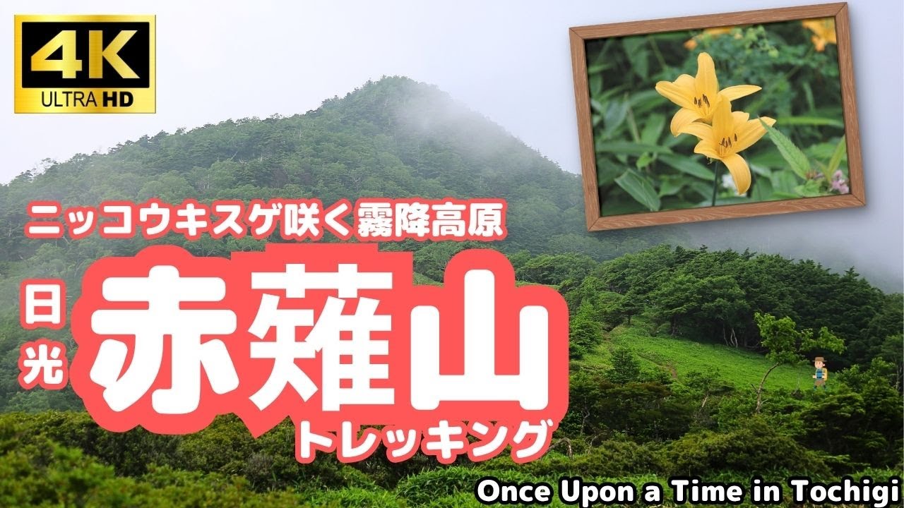 赤薙山トレッキング　ニッコウキスゲ咲く霧降高原