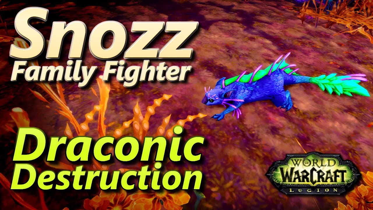 Snozz Draconic Destruction Family Fighter Warcraft Pet Battle