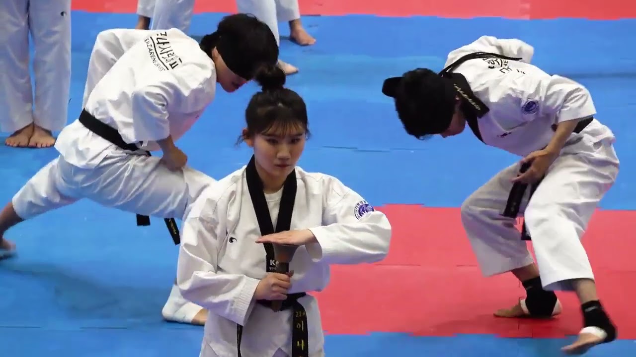 제16회 나사렛대학교총장배 전국태권도대회 개회식 시범