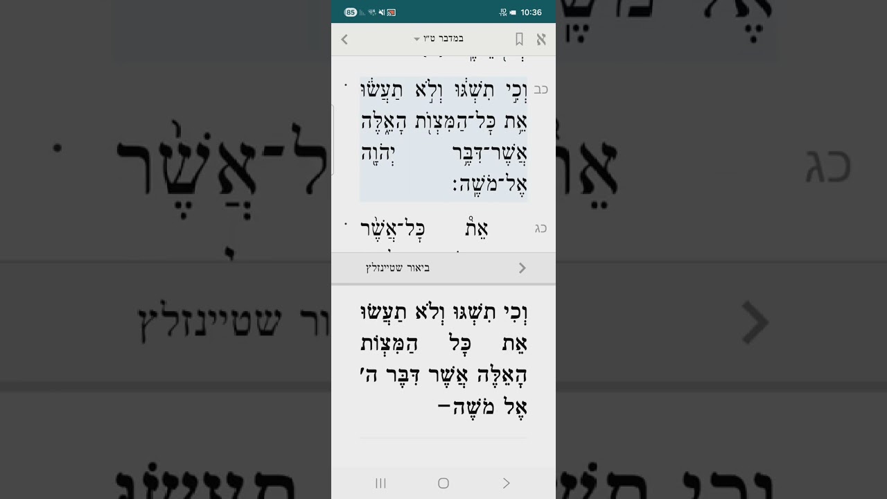 במדבר טו עד סוף פרשת שלח. מנחות ונסכים עם הקרבנות, שגגת הציבור והיחיד בעב