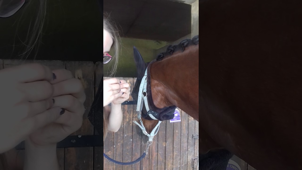 Tuto pions cousus de dressage