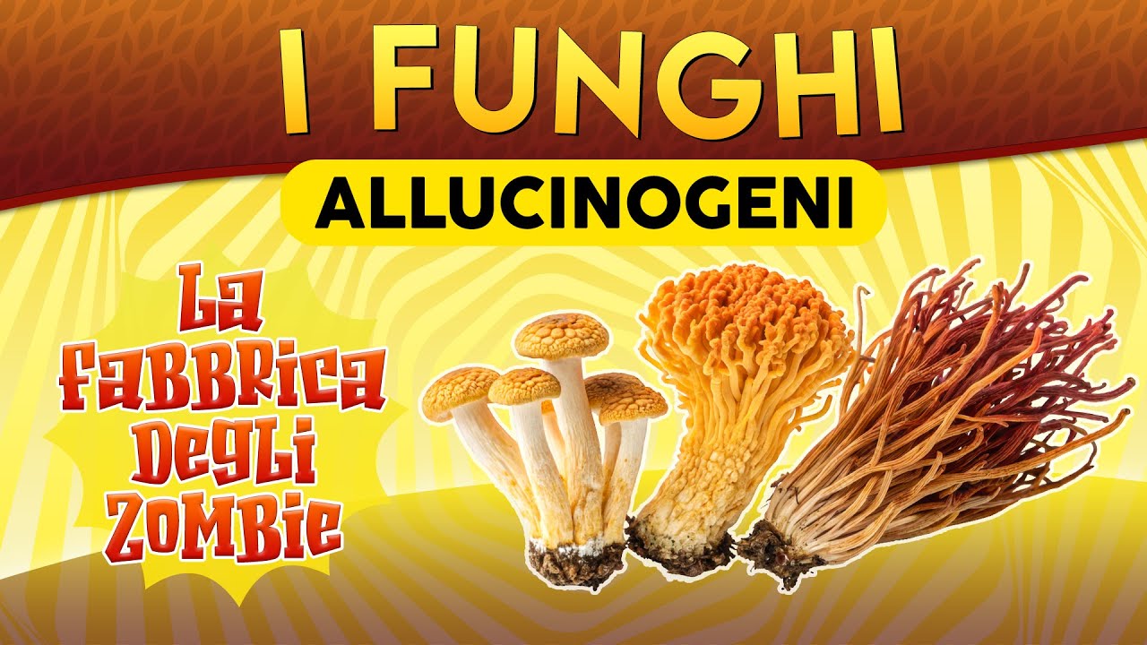 I Funghi allucinogeni: la fabbrica degli zombie ► Puntata 246