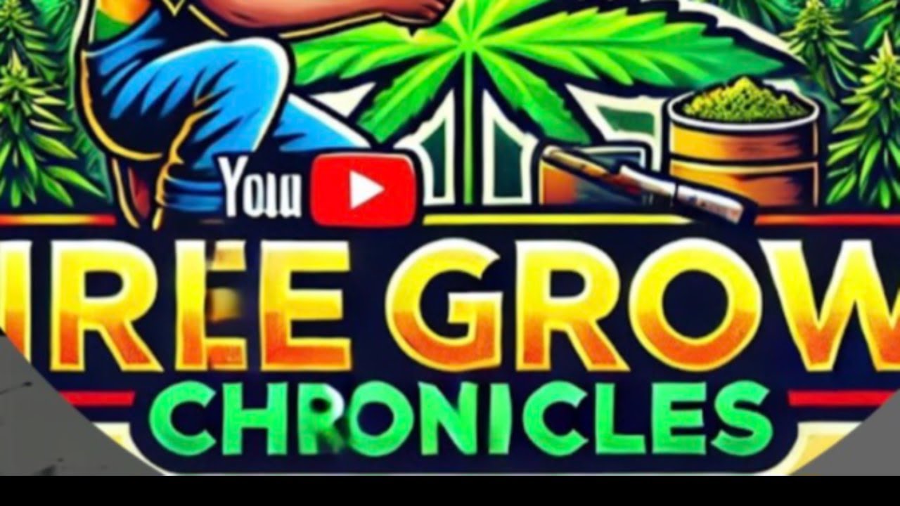 Aussie 420 playlist Live and Chillout
