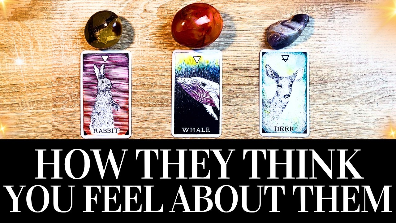 PICK A CARD 🥰🔮 How THEY Think YOU FEEL About Them ❤️&zwj;🔥🤔 What Is On Their Mind? ❤️ Love Tarot Reading