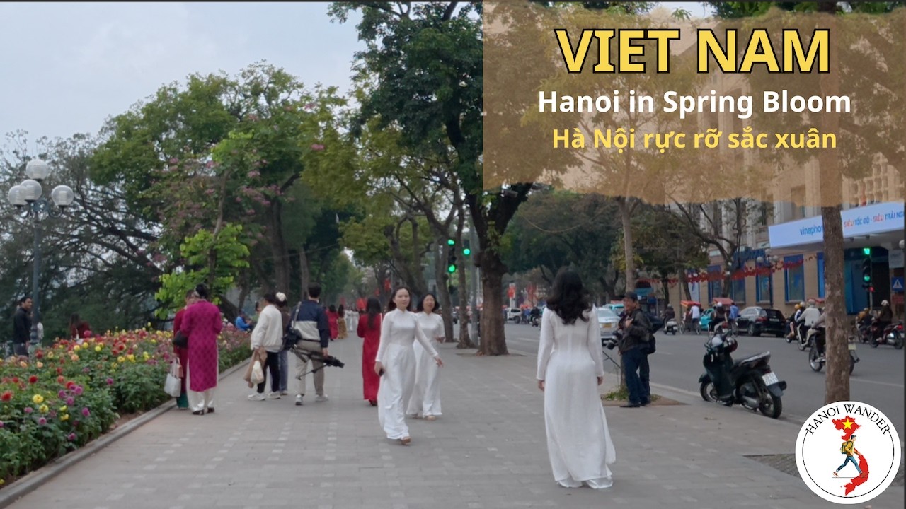 Spring Flowers in Hanoi 🇻🇳 March| Peaceful Hoan Kiem Lake Walk | Birds, Squirrels & Blooming Trees