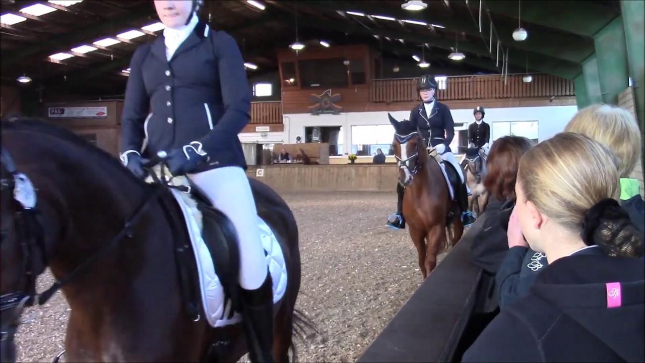 Just Charming - Zweite E-Dressur (E3) - Papenburg 10.09.2017