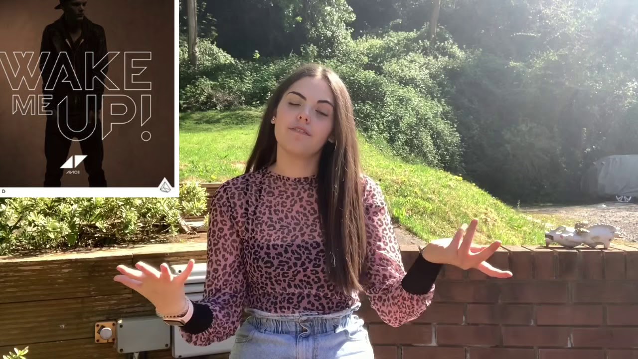 Wake me up - Avicii - BSL - SSE - Isabella signs