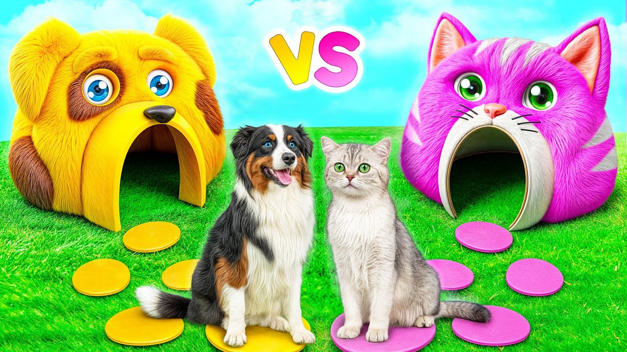 Строим Домики для Животных | Сумасшедший Челлендж от Multi DO Smile