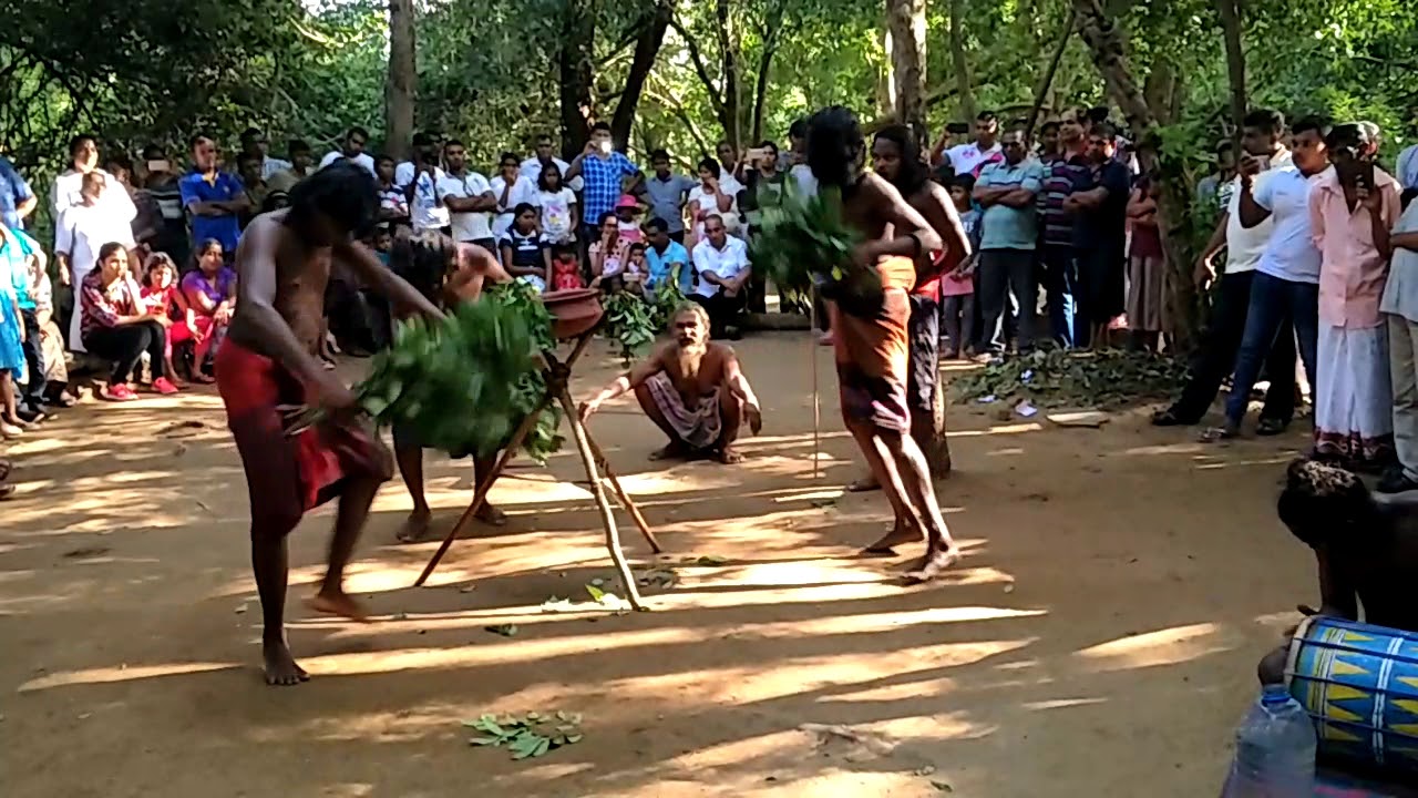 Kiri Koraha Traditional Dance by indigenous people in Sri Lanka (Vedda)