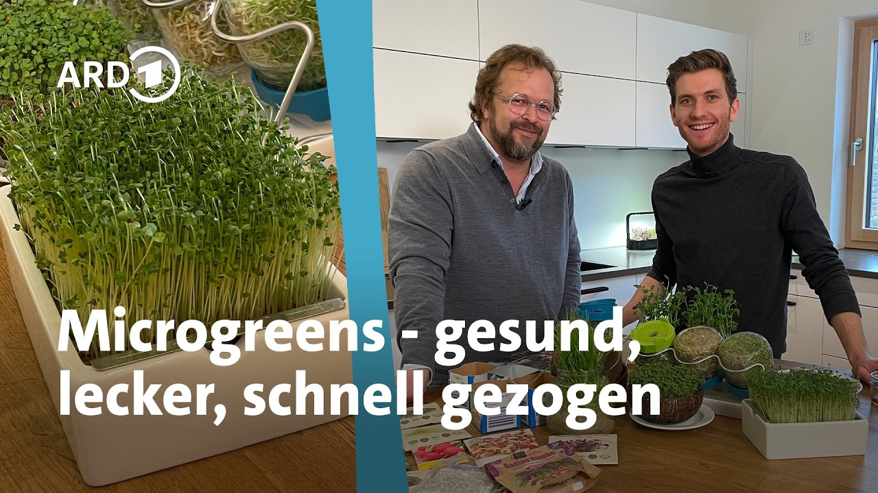 Frisches Grün ohne Garten: Microgreens & Sprossen ziehen | MDR Garten