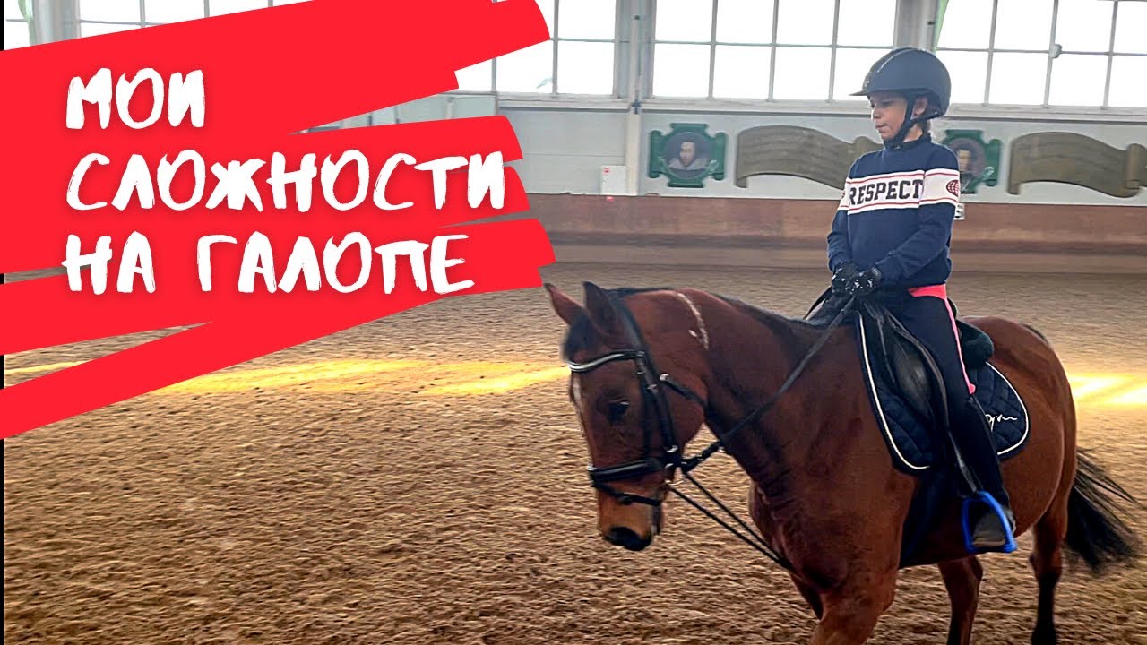 ГАЛОП// Коноблог// Мои сложности на галопе