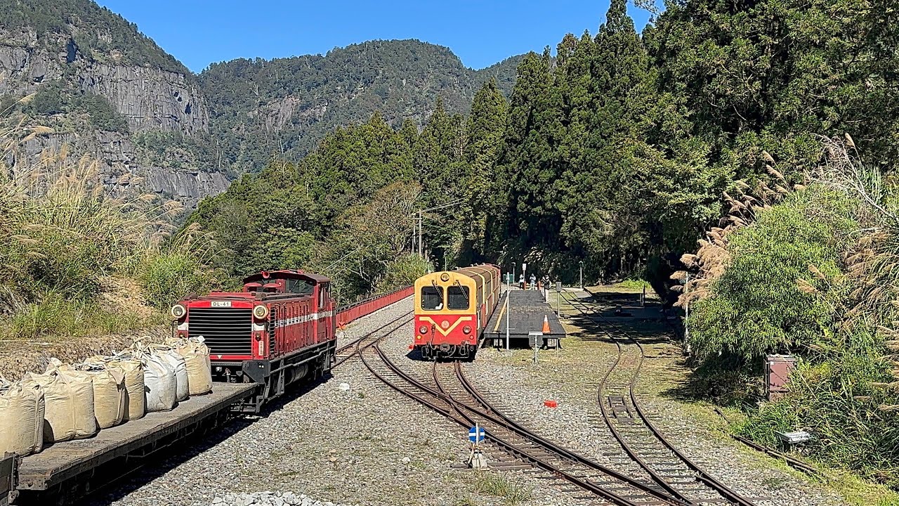 【Alishan Forest Railway】Train NO. 8 Alishan Express Arrived at Erwanping Station｜8次阿里山號抵達二萬平站