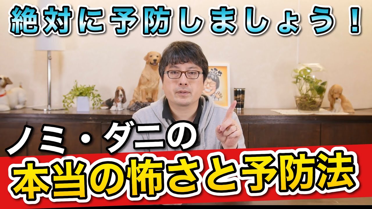 愛犬を危険から守ろう！【ノミ・ダニの本当の怖さと予防法】をペットショップ店長が解説します！